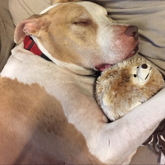 Meet your Posher, Erica - Picture 1 of 6